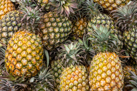 Close up shot of a pile of organic fresh pineapple on a fruit marketの写真素材