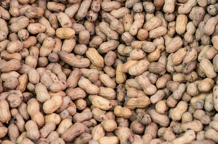 A heap of brown nuts close up shot with selective focusの写真素材