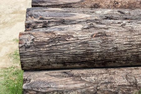 Sliced old tree trunks stacked on the ground close up shot