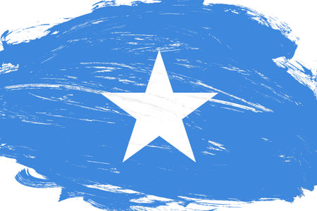 Distressed stroke brush painted somalia flag on white backgroundの写真素材