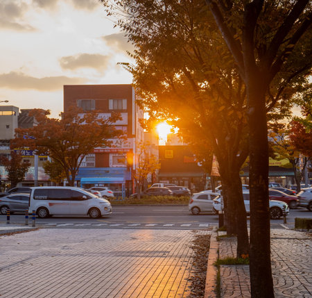 Autumn in the city. The sun goes down in the city.の写真素材