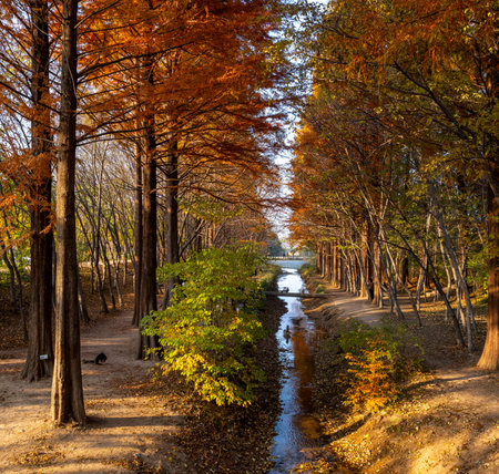Beautiful autumn landscape in the park with river and colorful trees.の写真素材