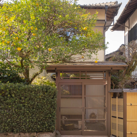 Lemon tree and a wooden door in the courtyard of the houseの写真素材