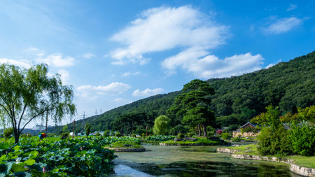 Landscape view of a small village by the river under blue skyの写真素材
