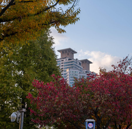 Autumn leaves and buildings in the city of Seoul, South Koreaの写真素材