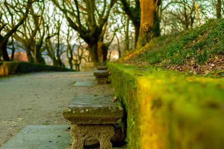 photo of bench in a parkの写真素材