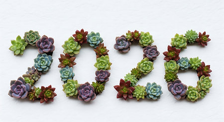 Succulent plants forming 2026. This creative and natural composition symbolizes growth and new beginnings. Each number is meticulously crafted from various colorful succulents. The image conveys a fresh start or an important milestone.の素材