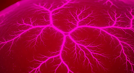 Intense pink electrical discharge creates fractal patterns visible on sphere surface demonstrating scientific phenomena. Abstract energy concept, innovation. Fractal pattern is discharge.の素材