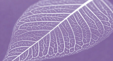 Capture delicate beauty of intricate leaf veins. Close up view of leaf shows networks of veins and purple background. Macro photography.の素材