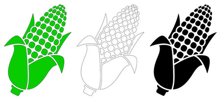 Ear of corn icons set including green husk outline and black silhouette vegetable symbols. Maize agriculture illustrations and healthy food design elements for farm market branding use.のイラスト素材