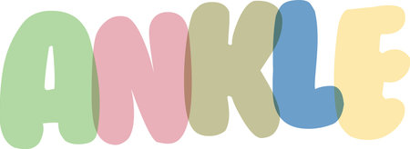 Anatomy related text illustration displaying ankle using rounded bubble font with transparent layering effect for educational materials healthcare posters and simple body part identificationのイラスト素材