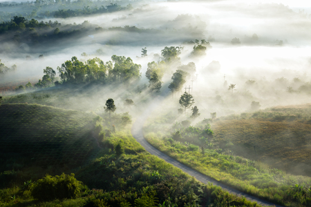 Amazing beautiful misty morning sunlight  and road  in mountain at Khao-kho Phetchabun,Thailandの写真素材