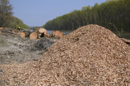 A Heap of Wood Chips at the Danube River Bankの写真素材