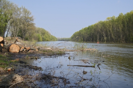 Sunny Danube River After Spring Wood Cuttingの写真素材