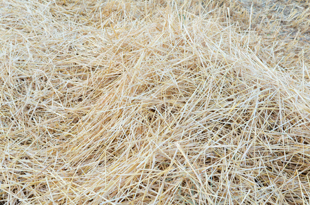 Pile of Straw on the Field after Wheat Harvestの写真素材