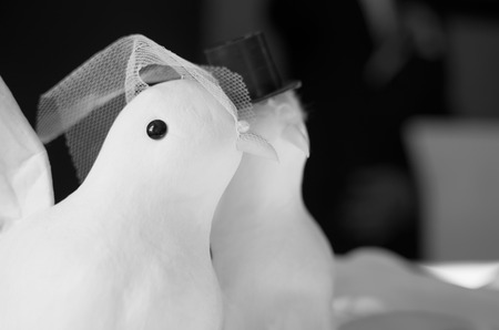 Dove Wedding Pair Decoration Figurines Closeup Black and Whiteの写真素材