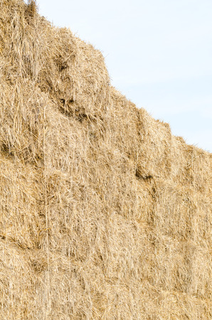 Straw Bales with Sky Closeup Verticalの写真素材
