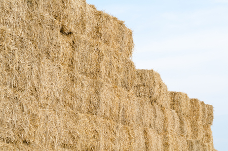 Straw Bales with Sky Closeup Horizontalの写真素材