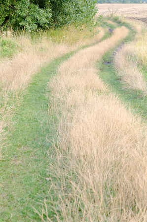 Winding Dirt Road Covered with Dry and Green Grass after Rain in the Summer Daytime Verticalの写真素材
