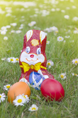 Wrapped Chocolate Bunny with Easter Eggs in the Grass Full of Daisy Flowers Verticalの写真素材