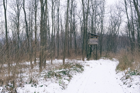 Old Wooden Hunter Stand in the Snowy Forestの写真素材