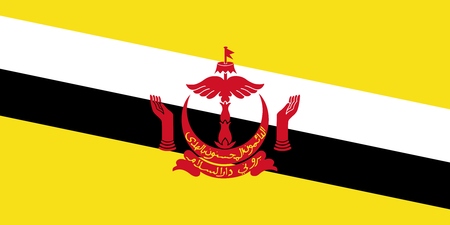 Official Large Flat Flag of Brunei Horizontalの写真素材