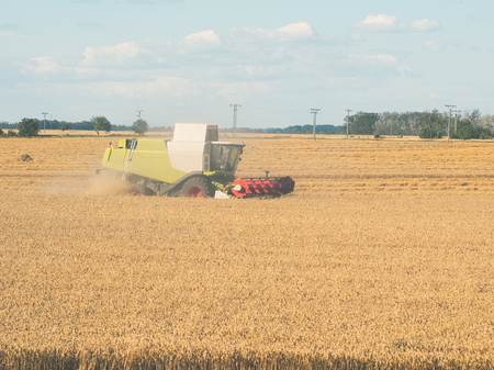 Wheat Harvesting with Combine Harvester on a Sunny Summer Dayの写真素材