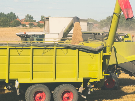 Combine Harvester Unloading Grain into Trailer on a Sunny Summer Day