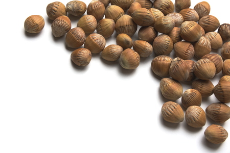 Common Hazel Cobnuts Corylus Avellana Isolated on White Backgroundの写真素材