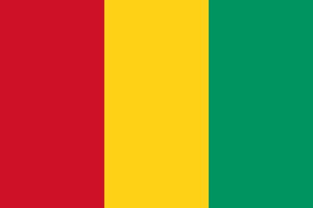 Official Large Flat Flag of Guinea Horizontalの写真素材