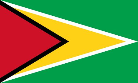 Official Large Flat Flag of Guyana Horizontalの写真素材