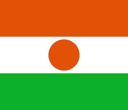 Official Large Flat Flag of Niger Horizontalの写真素材