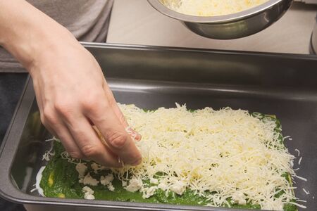 Housewife Hand Putting Grated Cheese on Raw Spinach Lasagneの写真素材