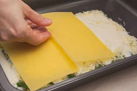 Housewife Hand Placing Raw Lasagne Pasta onto Baking Sheetの写真素材