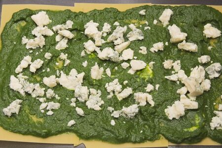 Spinach and Moldy Cheese on Raw Lasagne Pasta in Baking Sheetの写真素材