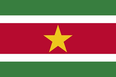 Official Large Flat Flag of Suriname Horizontalの写真素材