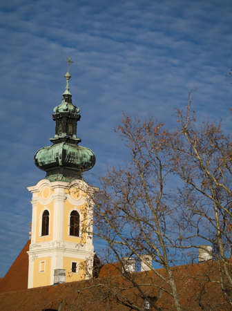 Carmelite Church Tower with Tree in Gyor, Hungaryの写真素材