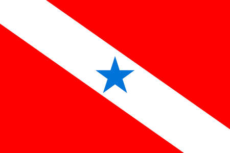 Official Large Flat Flag of Para Horizontalの写真素材