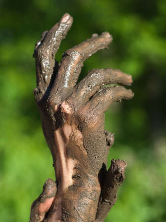 Dirty Wet Muddy Hands of a Young Woman Outdoors on a Sunny Summer Dayの写真素材