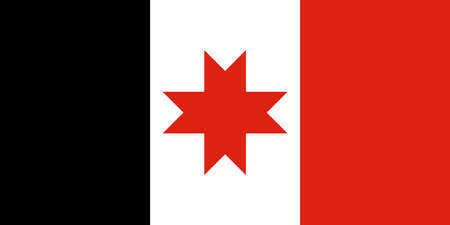 Official Large Flat Flag of the Udmurt Republic Horizontalの写真素材