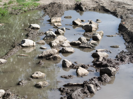 A peaceful summer scene of a tranquil pond, with its gray rocky surface and dirty brown mud beneath the pure freshwater.の写真素材