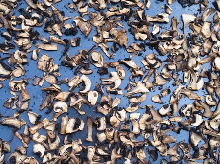 A delicious and healthy ingredient. Close-up of a pile of sliced, organic wild Agaricus mushrooms drying on a metal sheet, browned in the process.の写真素材