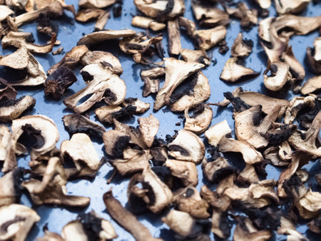 A delicious and healthy ingredient. Close-up of a pile of sliced, organic wild Agaricus mushrooms drying on a metal sheet, browned in the process.の写真素材