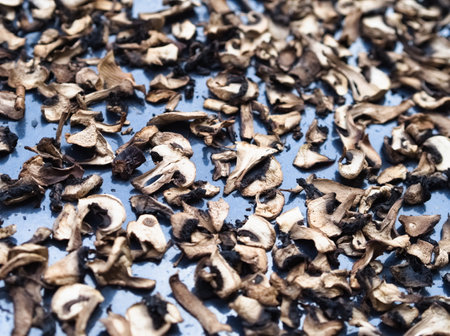 A delicious and healthy ingredient. Close-up of a pile of sliced, organic wild Agaricus mushrooms drying on a metal sheet, browned in the process.の写真素材