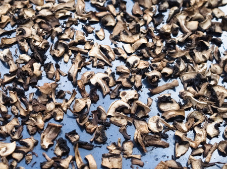 A delicious and healthy ingredient. Close-up of a pile of sliced, organic wild Agaricus mushrooms drying on a metal sheet, browned in the process.の写真素材