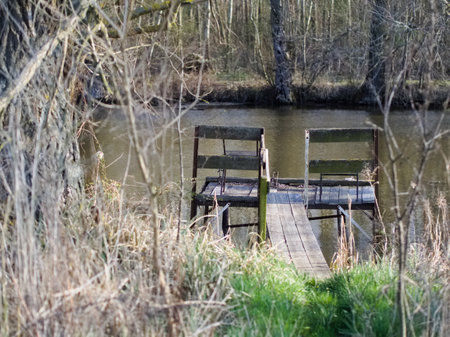 Wooden bench on the shore of a small lake in springの写真素材