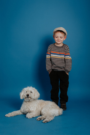 A little boy is standing with a white dog. On a blue background.の写真素材