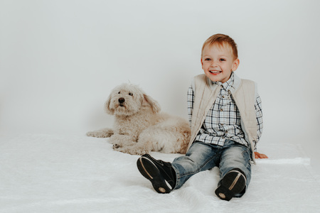 Little boy sitting playing with a white dog on a white backgroundの写真素材