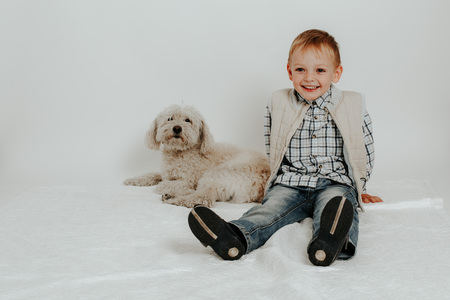Little boy sitting playing with a white dog on a white backgroundの写真素材