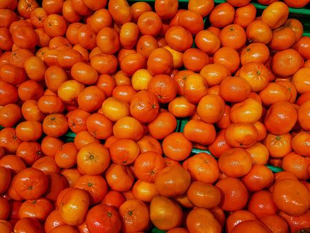 Fresh mandarin oranges fruit or tangerines, as background. many tangerine.の写真素材